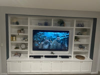 Custom built Entertainment Unit